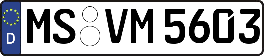 MS-VM5603