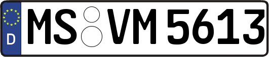 MS-VM5613
