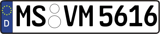MS-VM5616