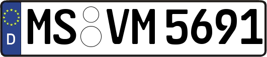 MS-VM5691