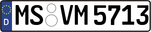 MS-VM5713