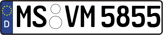 MS-VM5855