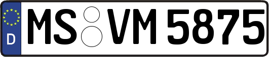 MS-VM5875