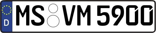 MS-VM5900
