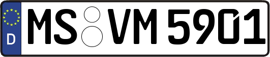 MS-VM5901