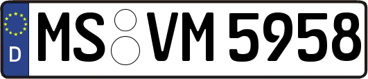 MS-VM5958