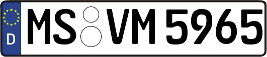 MS-VM5965
