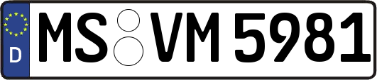 MS-VM5981