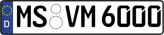 MS-VM6000