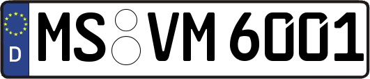 MS-VM6001