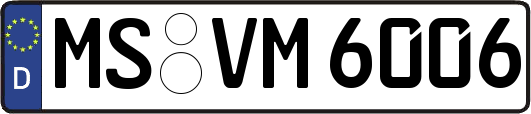 MS-VM6006