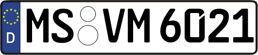 MS-VM6021