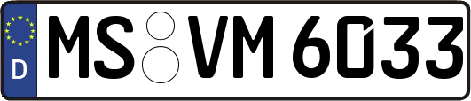 MS-VM6033