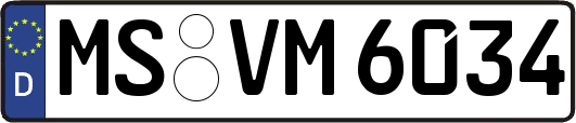 MS-VM6034