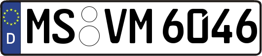 MS-VM6046