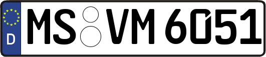 MS-VM6051