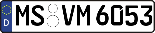 MS-VM6053