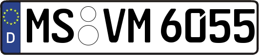 MS-VM6055