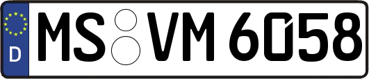 MS-VM6058