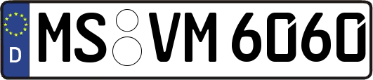 MS-VM6060
