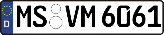 MS-VM6061