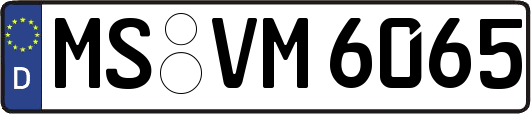 MS-VM6065