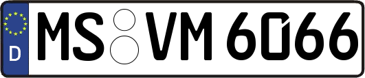 MS-VM6066