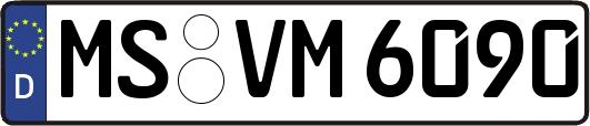 MS-VM6090
