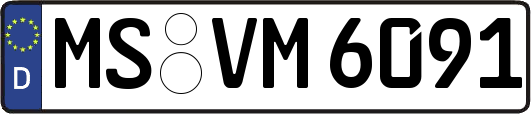 MS-VM6091