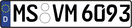 MS-VM6093