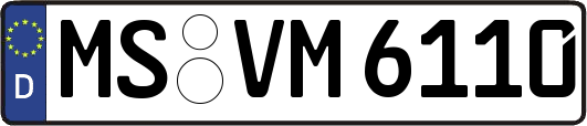 MS-VM6110