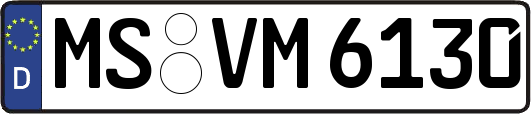 MS-VM6130