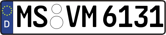 MS-VM6131