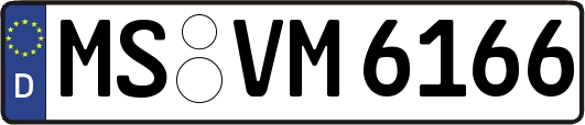 MS-VM6166