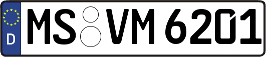 MS-VM6201