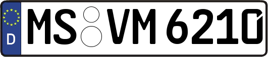 MS-VM6210