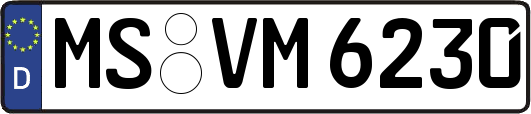 MS-VM6230