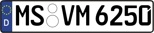 MS-VM6250