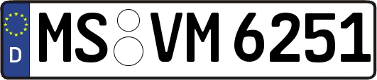 MS-VM6251