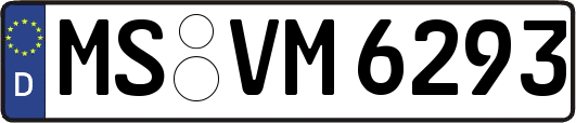 MS-VM6293