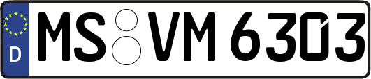 MS-VM6303