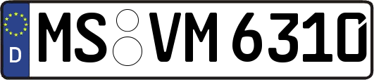 MS-VM6310