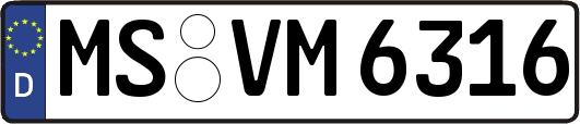 MS-VM6316