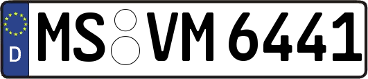 MS-VM6441
