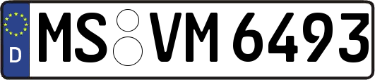 MS-VM6493