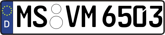 MS-VM6503
