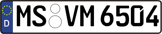 MS-VM6504