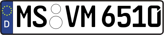 MS-VM6510
