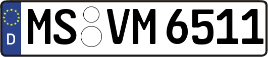 MS-VM6511