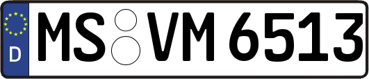 MS-VM6513